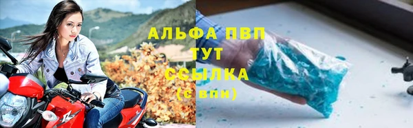 apvp Няндома