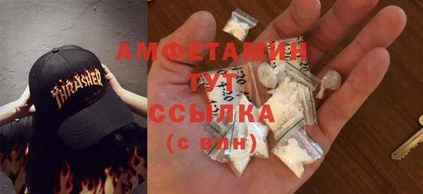 apvp Няндома
