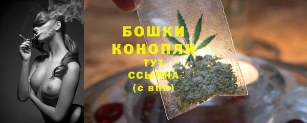 гидропоника Бикин