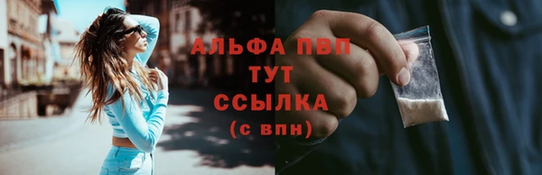 apvp Няндома