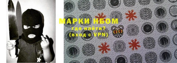 apvp Няндома