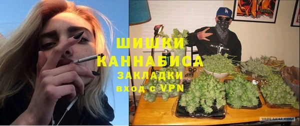 стаф Новокубанск