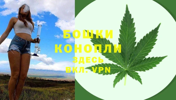 apvp Няндома