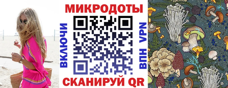 Галлюциногенные грибы Psilocybe  Ряжск 